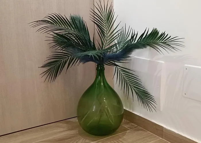 Franca 招待所 巴里